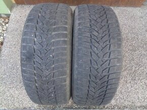 Zimní pneu 205/55/16 R16 Nexen