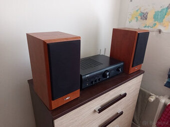 Acoustic Energy Aegis Evo One