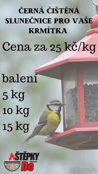 🌻 černá čištěná slunečnice 🌻