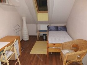 Pronájem pokoje 15m2 u Říčan - 1
