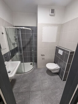 krátkodoby pronájem zařízený 1+kk Olomouc-Povel