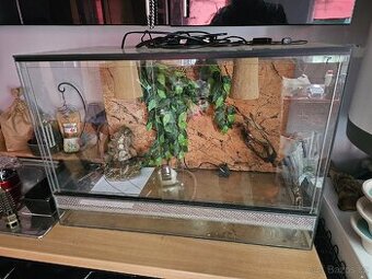 Terarium