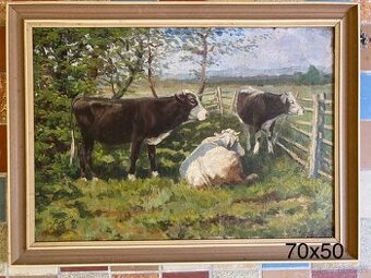 Obraz - krávy v ohradě