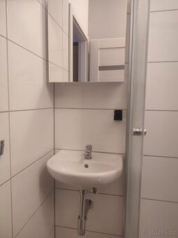 Pronájem bytu 2+kk Ústí nad Labem, Peškova
