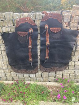 Western chapsy