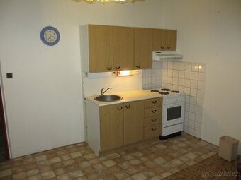 Pronajmu byt 1+KK v Plzni
