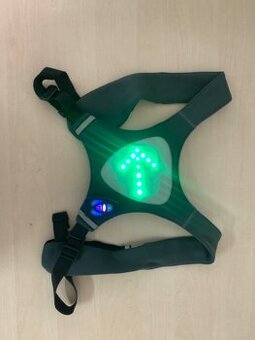LED ukazatele na záda - různé barvy - 1