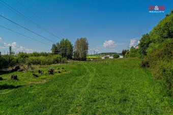 Pronájem pastviny, 4754 m², Dýšina - 1