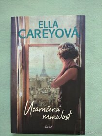 Ella Careyová, Uzamčená minulost