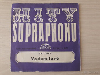 Vodomilové - Řidič má tvrdý chléb / Co bych si přál (1973)