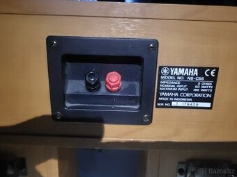 Yamaha NS-C55,Yamaha NS-E55