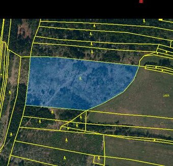 Prodej lesu  30 Kč/ m², Urbanov okr. Jihlava