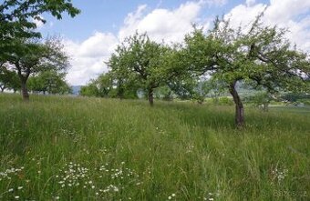 Hledám šikovného pomocníka na zahradu a kolem domu