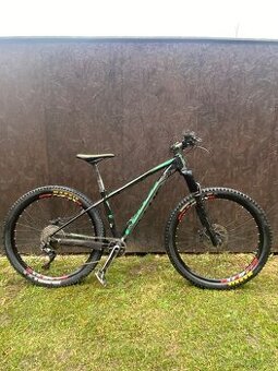 Horske kolo kellys gibon