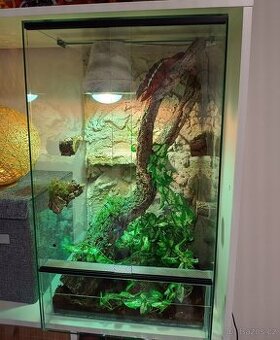 Prodam plne vybavene terarium