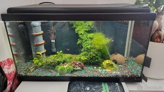 Akvárium Set 60x30x34 cm 60litru