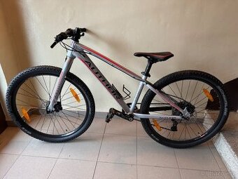 Kolo Author Ultrasonic 26