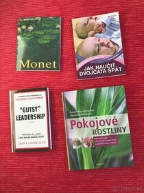 Gutsy Leadership,Monet, Pokojové rostliny