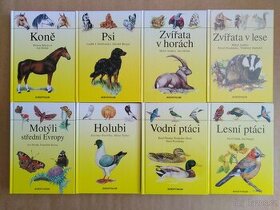 Zvířata, Ptáci, Motýli