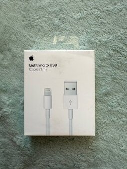 Apple Lightning to USB Cable (1 m)