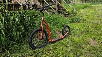 Yedoo s2016 Disc