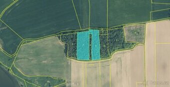 Prodám pozemky v katastrálním území Králova Lhota