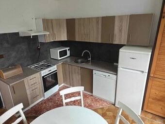 Pronájem pokoje v bytě 3+1