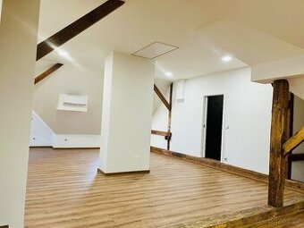 Pronájem podkrovního bytu 1+1, přes 100m2