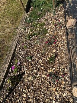 Sháním materiál (větve) na štěpkování