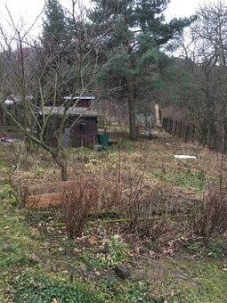 Zlatnice Praha 6 - pronájem zahrádky