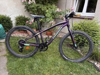 Orbea MX 24ĺ