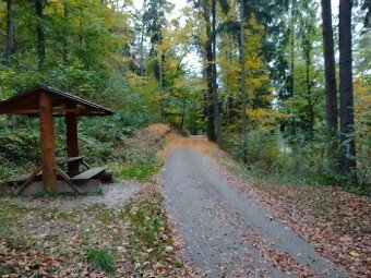 Lesní pozemek 2485 m2, Rabí - Čepice