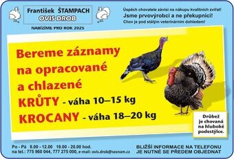 Nabízíme VYKRMENÉ KRŮTY a KROCANY