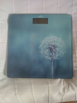 OSOBNÍ  DIGITÁLNÍ  VÁHA