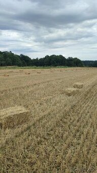 Malé balíky slámy