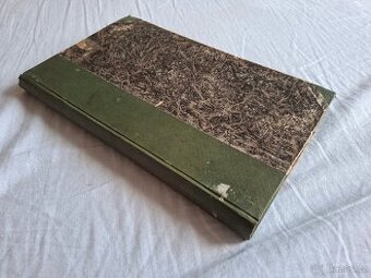 Evropa v přerodu - Robert William Seton-Watson