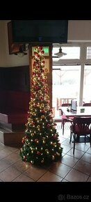 Vánoční stromek