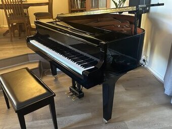 Křídlo Yamaha GB1 se zárukou 5 let. Doprava zdarma