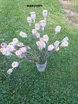 Sušené květiny - Makovky