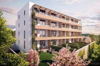 Byt nebo domek k rekonstrukci v Brně