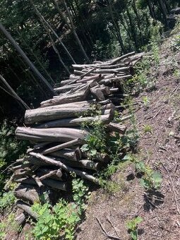 Prodej palivového dřeva