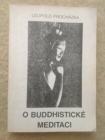 O buddhistické meditaci.