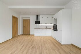 Pronájem bytu 2+kk, 56m2 - Vrázova, Ostrava - Vítkovice