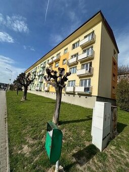 Pronájem bytu 3+1 65m² - 1