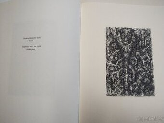 Sto kreseb odněkud, Jaroslav Róna