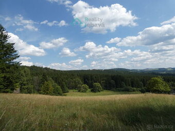 Prodej, pozemek, Křižánky - České Křižánky
