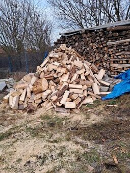 Palivové dřevo suché