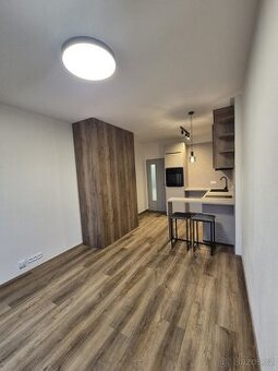 Pronájem bytu Brno-Kníničky 1+kk - 1