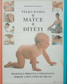 Velká kniha o matce a dítěti