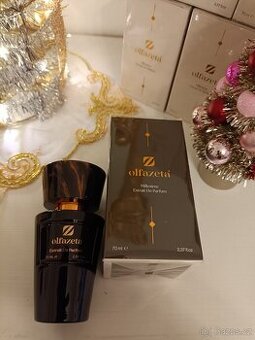 Pánský luxusní parfém Versace ,, Dylan Blue ,, .